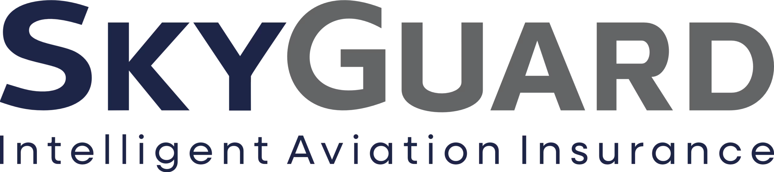 SkyGuardClientPortal logo